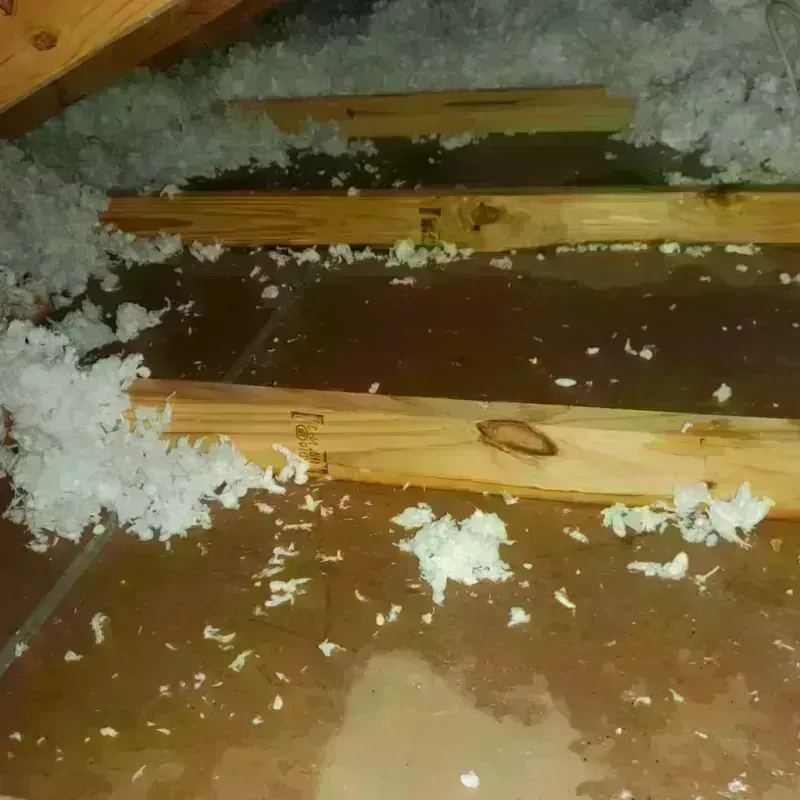 Attic Water Damage in Dilworth, MN